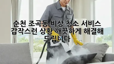 순천 조곡동 비상 청소 서비스: 갑작스런 상황, 깨끗하게 해결해 드립니다!